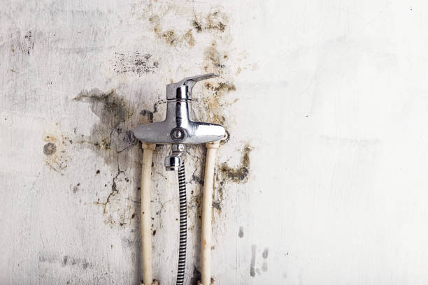 Best Mold Removal Process  in Heidelberg, TX