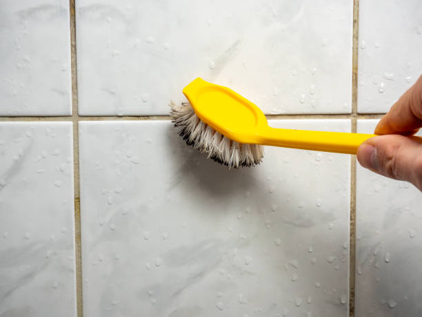 Best Fast Mold Removal  in Heidelberg, TX