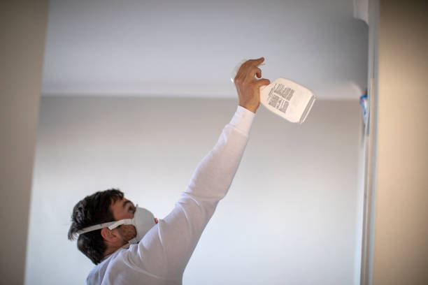 Best Certified Mold Removal  in Heidelberg, TX