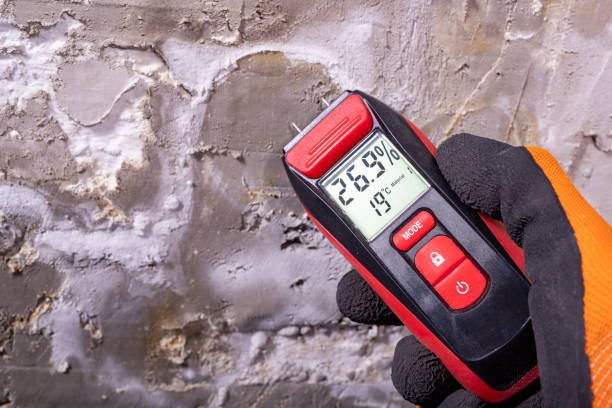 Best Attic Mold Removal  in Heidelberg, TX