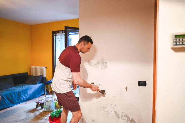 Best Mold Damage Repair  in Heidelberg, TX